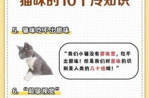 猫咪的饮食习惯及常见食物（了解猫咪的食性与健康饮食）