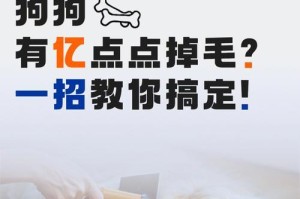 探究狗狗掉毛原因（为什么狗狗总是掉毛？）