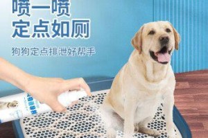 如何训练狗狗定点大小便（宠物训练技巧分享）