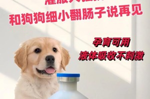 狗狗细小的症状、治疗和预防措施（及时发现与家庭护理是关键）