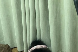 为什么狗喜欢钻床底下？（探秘狗狗对床底下的执着与喜爱）