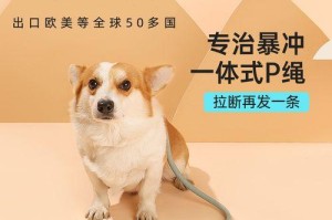 如何使用狗绳子训练你的宠物狗（有效的狗绳子技巧和技术以及如何避免常见的错误）