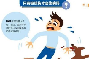 小狗的狂犬疫苗接种频率（了解疫苗接种的关键信息）