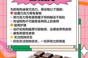 荷兰猪误食巧克力后的解决方法（多喝水是有效的处理方式，但需注意误食量与荷兰猪健康状态）