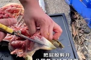 探索以巴西龟脱皮周期的奥秘（了解以巴西龟脱皮周期对宠物养殖的重要性）