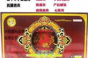 小狗感冒了怎么办？治疗方法及注意事项（小狗感冒发烧打针价格是多少？专业兽医建议和预防措施）