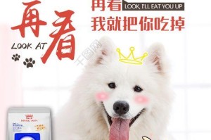如何训练萨摩耶狗狗拒食（一步步教你让爱宠健康饮食）