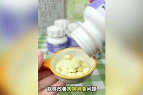 狗为什么会吃墙皮？（揭开狗吃墙皮的原因与解决方法）