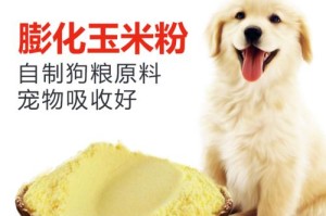 犬的饲料种类大全（探索宠物犬的饮食世界，从而为其健康保驾护航）