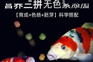 如何科学地喂养小金鱼（小金鱼的饮食需求及常见饲料推荐）