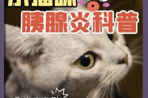揭秘猫的右侧腹部器官（探索猫咪身体的奥秘，猫的右侧腹部到底有什么？）