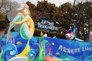 了解马面角吊的喜好和需求，打造舒适的家园（了解马面角吊的喜好和需求，打造舒适的家园）