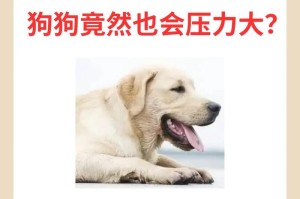 人养狗的利与弊（探讨人养狗的好处和坏处）