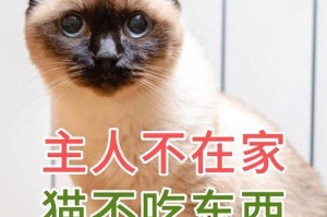 猫怀孕后为什么不吃饭？（探究猫咪怀孕期间食欲减退的原因及应对方法）