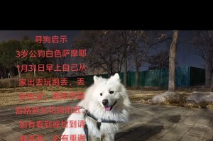 萨摩耶犬的奔跑能力揭秘（探究萨摩耶犬的长跑潜能及其影响因素）