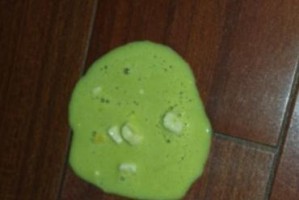 狗狗打完针呕吐，原因和处理方法解析（狗狗打完针后出现呕吐现象是正常反应吗？如何正确处理？）