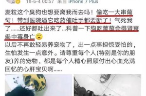 小狗肠胃伤的症状及原因解析（了解小狗肠胃伤的主要症状和可能的原因）