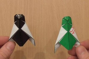 打造完美的射水鱼家庭（以宠物为主，饲养方法全解析）