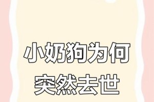 狗狗奶不好的原因及影响（为什么不能给狗狗喝奶？有哪些不良影响？）