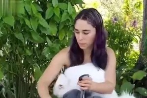 养狗可能对人身体带来的危害（了解养狗的健康风险，让你和你的宠物更加安全）