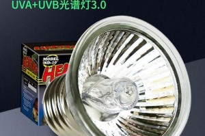 冬季养龟必备的照明灯选择（探索最适合龟类过冬的照明灯具）