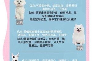 泰迪剃毛后需要多久才能长出来？（探究泰迪剃毛后恢复毛发所需的时间）