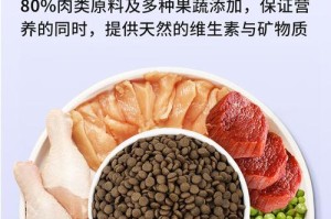 成年泰迪的合理饮食计划（探讨成年泰迪每日狗粮摄入量和喂食细节）