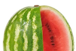 一岁左右的金毛可以吃哪些水果？（金毛宝宝的饮食需求及适合的水果种类）