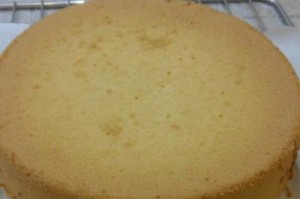 宠物减肥（营养均衡的减肥食谱和健康的生活方式）