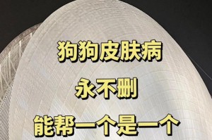 了解狗狗皮肤病检查的重要性（为什么需要定期对狗狗进行皮肤病检查？）