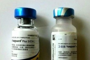 狗预苗的种类及其区别（了解狗预苗的不同种类，选择最合适的保护方式）