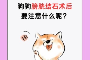 狗狗患上了膀胱结石？主人必看的应对方法！（如何识别狗狗膀胱结石的症状及有效的治疗方式）