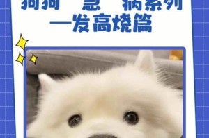 不要以标准体温衡量狗狗，了解它们三大指标的小知识（了解狗狗的三大指标，保证它们的健康和幸福）