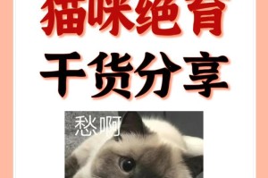 猫咪绝育的最佳时机及对其健康的影响（为什么绝育对猫咪重要及最佳绝育年龄）