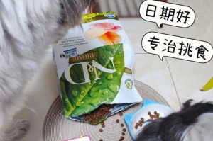 新手养狗开销太大？资深捡屎官教你用平替宝藏（如何节约养狗开销，让宠物生活更美好）