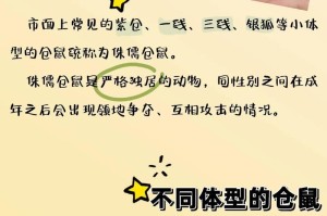 哪些仓鼠品种不咬人？（选择温顺宠物仓鼠，从品种入手！）