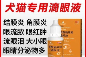 如何给宠物狗狗滴眼药水？（掌握正确方法，轻松解决眼部问题）