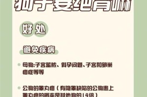 关于雄狗结扎的最佳时间（保护宠物健康，选择合适的结扎时机）
