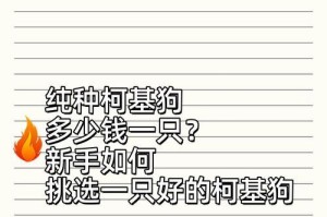 柯基纯种与串的区别（揭秘柯基纯种与串的差异，探究血统与外貌的争议）
