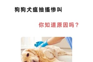 狗犬瘟治疗须注意的关键事项（关爱您的宠物，正确对待犬瘟，共同保护狗狗健康）