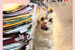 探索猫咪对塑料袋的喜爱与安全意识（猫咪是否真的喜欢塑料袋？如何确保它们的安全？）