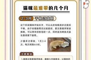 猫的尴尬期（揭秘猫咪尴尬期的持续时间及关键因素）