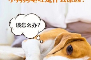 如何合理安排狗狗一天的饮食？（新手铲屎官必看的喂食指南）
