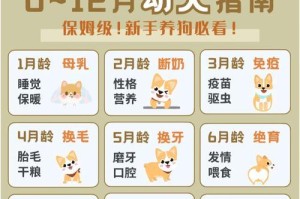 狗的换毛期需注意事项（掌握适时护理，让宠物健康度过换毛期）