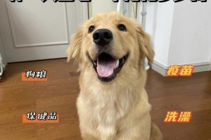 养宠一月开销揭秘（详解养宠家庭每月真实开销，为你提供经济养宠的方法）