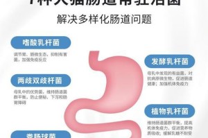 喂养狗狗益生菌（了解如何正确喂养狗狗益生菌，让您的宠物更加健康和快乐）