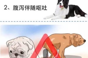 狗狗吃头发引发呕吐和拉肚子的处理方法（急救措施和用药指南）