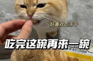 猫拉稀后的饮食调理（为你的猫提供合适的饮食以促进恢复）