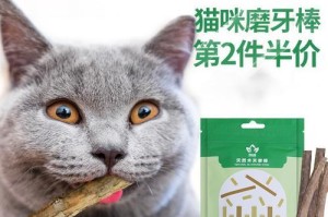 猫咪磨牙的重要性及适合的工具选择（关于猫咪磨牙的知识和建议，了解如何为猫咪提供适当的磨牙工具）