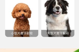 狗狗与零食的亲密关系（为何狗狗喜欢玩零食？）